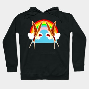 Two birds playing in the rainbow Hoodie